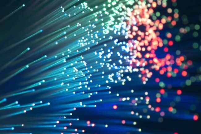 fibre