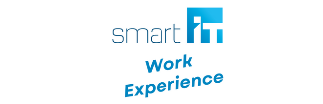 Work Experience (1)